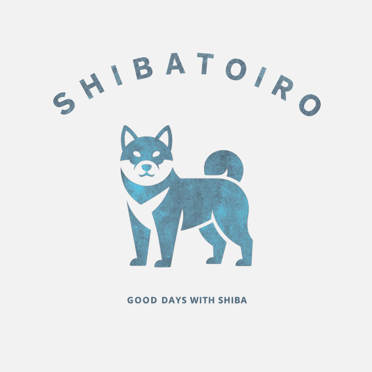 SHIBATOIROバックロゴTシャツ